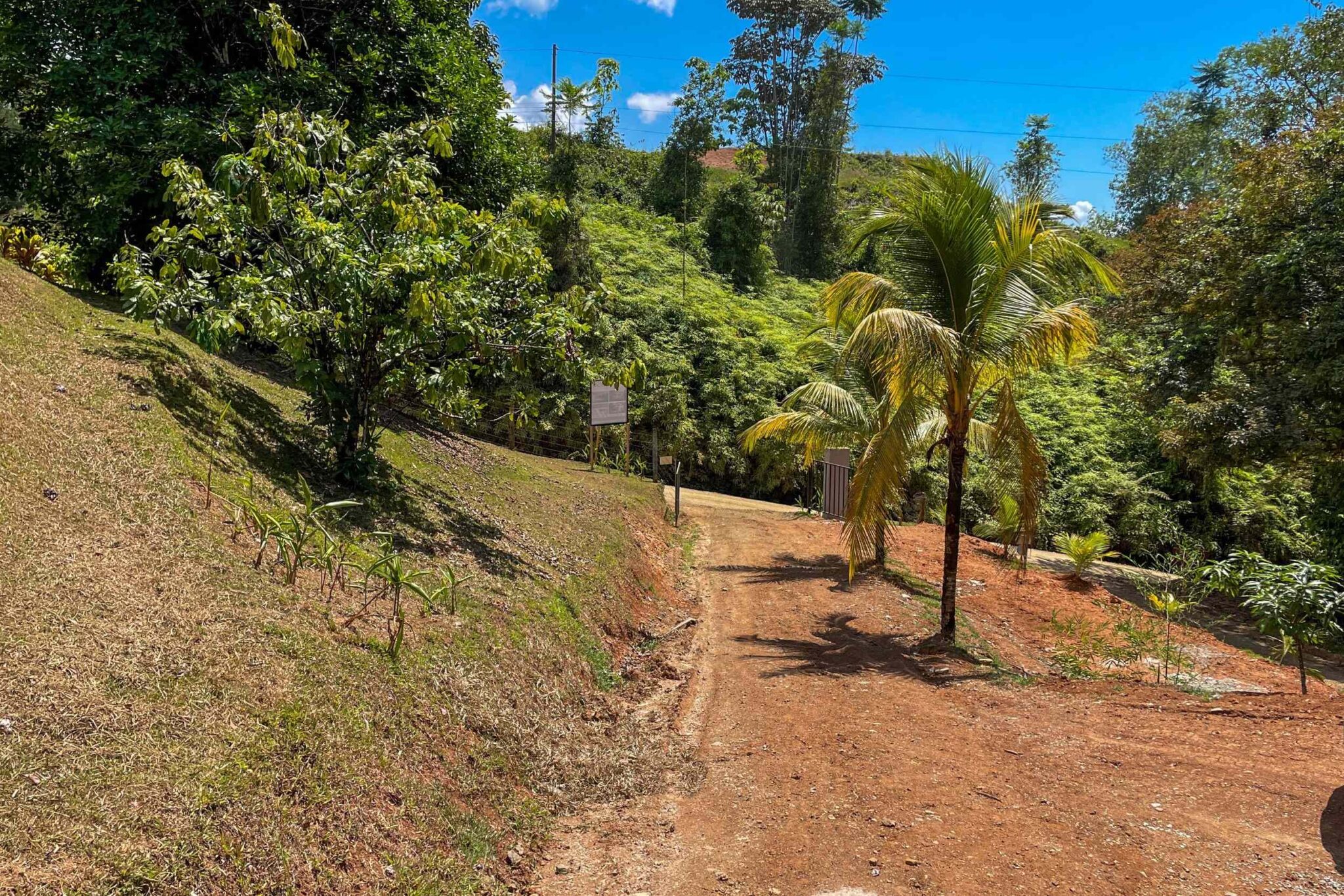 New Construction 2-Bedroom House with Pool & Natural Jungle Setting in Ojochal Costa Rica