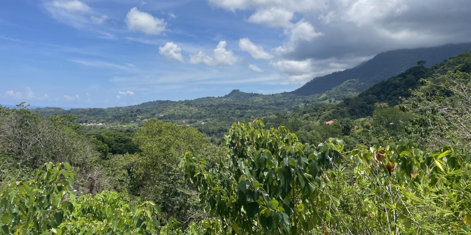 Paradise Found: New-Construction Modern 2-Bedroom Home with Ocean Views & Pool in Ojochal Costa Rica Paradise Found: New-Construction Modern 2-Bedroom Home with Ocean Views & Pool in Ojochal Costa Rica