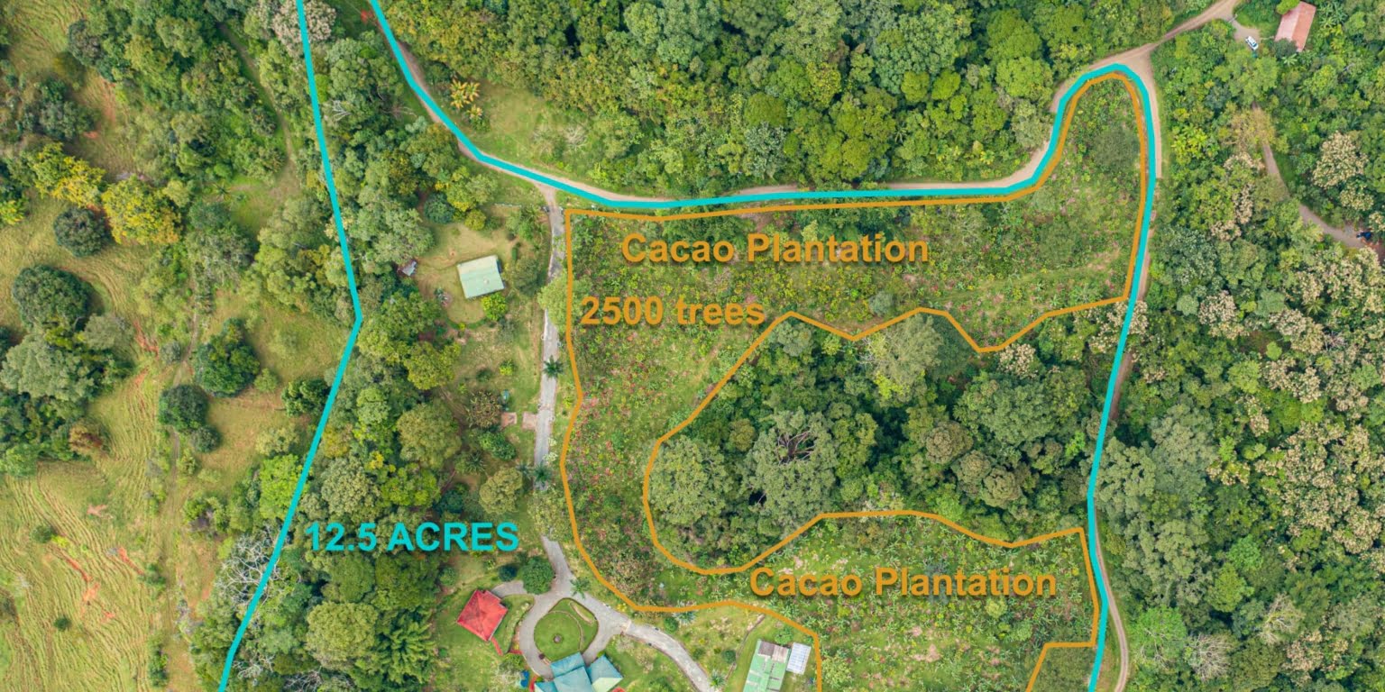 Country Club Feel Oasis Surrounded by Mountains with Cacao Farm in Platanillo above Dominical Costa Rica Country Club Feel Oasis Surrounded by Mountains with Cacao Farm in Platanillo above Dominical Costa Rica
