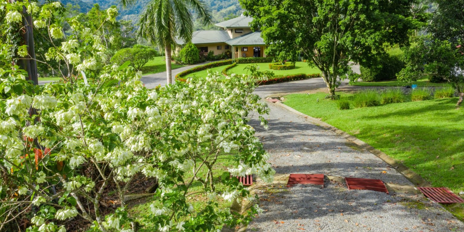 Country Club Feel Oasis Surrounded by Mountains with Cacao Farm in Platanillo above Dominical Costa Rica Country Club Feel Oasis Surrounded by Mountains with Cacao Farm in Platanillo above Dominical Costa Rica