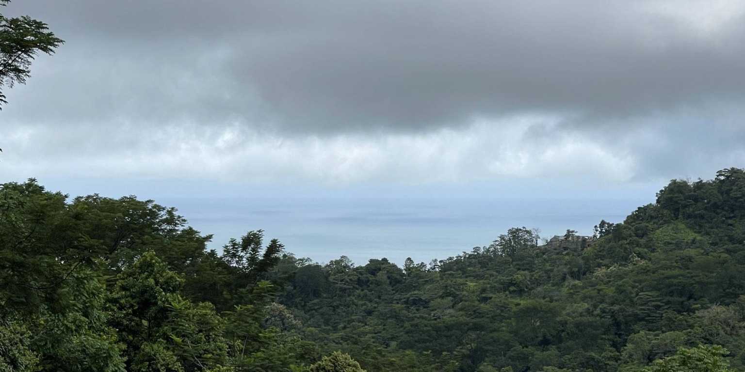 IMG_5466 Sunset Ocean View 1-Bedroom Home with Guest Cabin Surrounded by Rainforest in Uvita Costa Rica
