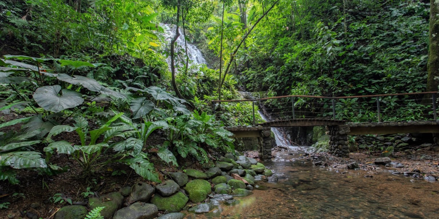 4. Waterfall Two-Bedroom Jungle View Home in Gated Community with Community Waterfall & Pool in Tres Rios Costa Rica
