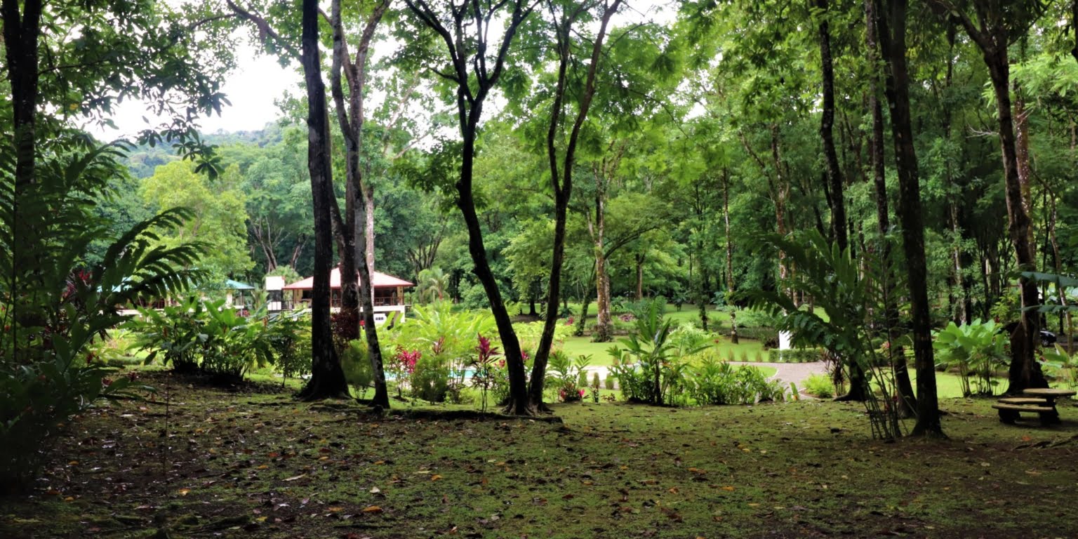 50 (13) Two-Bedroom Jungle View Home in Gated Community with Community Waterfall & Pool in Tres Rios Costa Rica