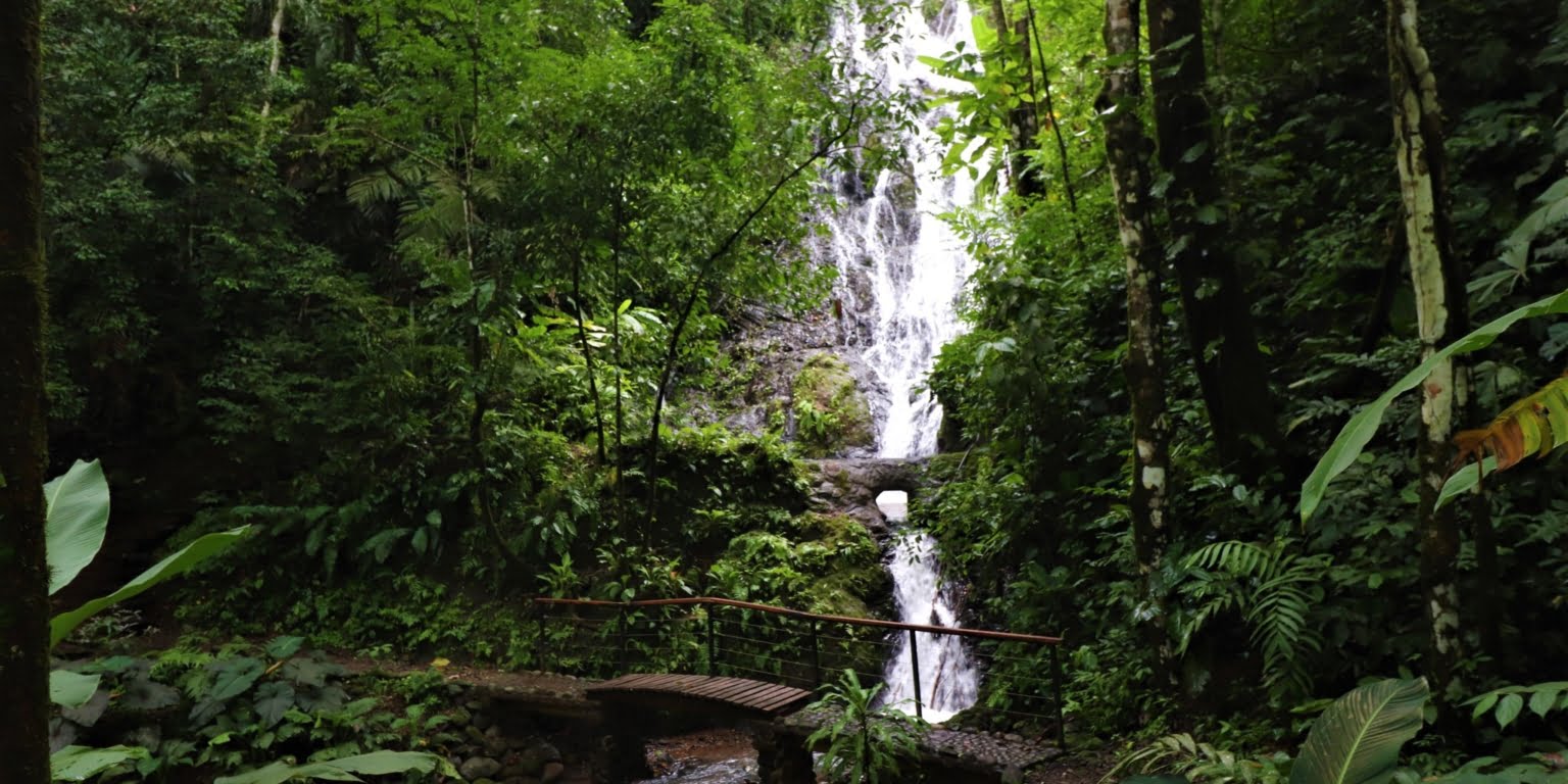 50 (12) Two-Bedroom Jungle View Home in Gated Community with Community Waterfall & Pool in Tres Rios Costa Rica