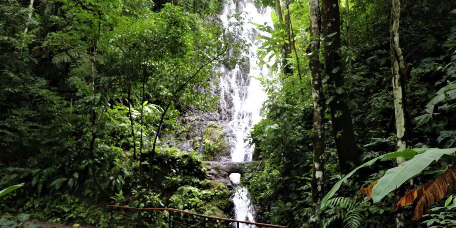 50 (10) Two-Bedroom Jungle View Home in Gated Community with Community Waterfall & Pool in Tres Rios Costa Rica