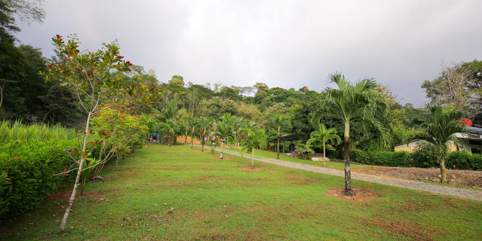 DVO_4572 Commercial Opportunity – Home, Rental Cabins & Room to Build More in Hatillo near Dominical Costa Rica