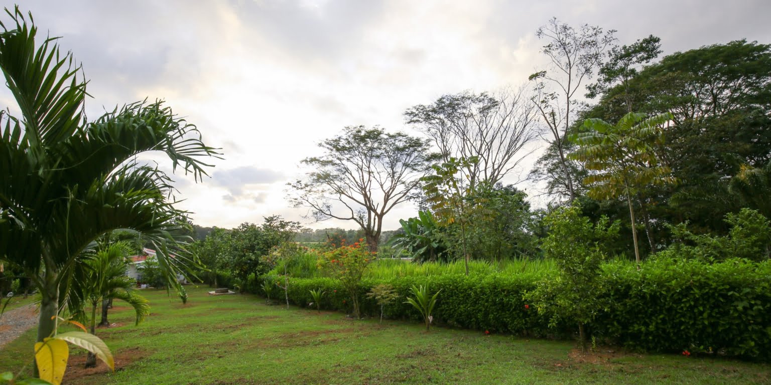 DVO_4568 Commercial Opportunity – Home, Rental Cabins & Room to Build More in Hatillo near Dominical Costa Rica