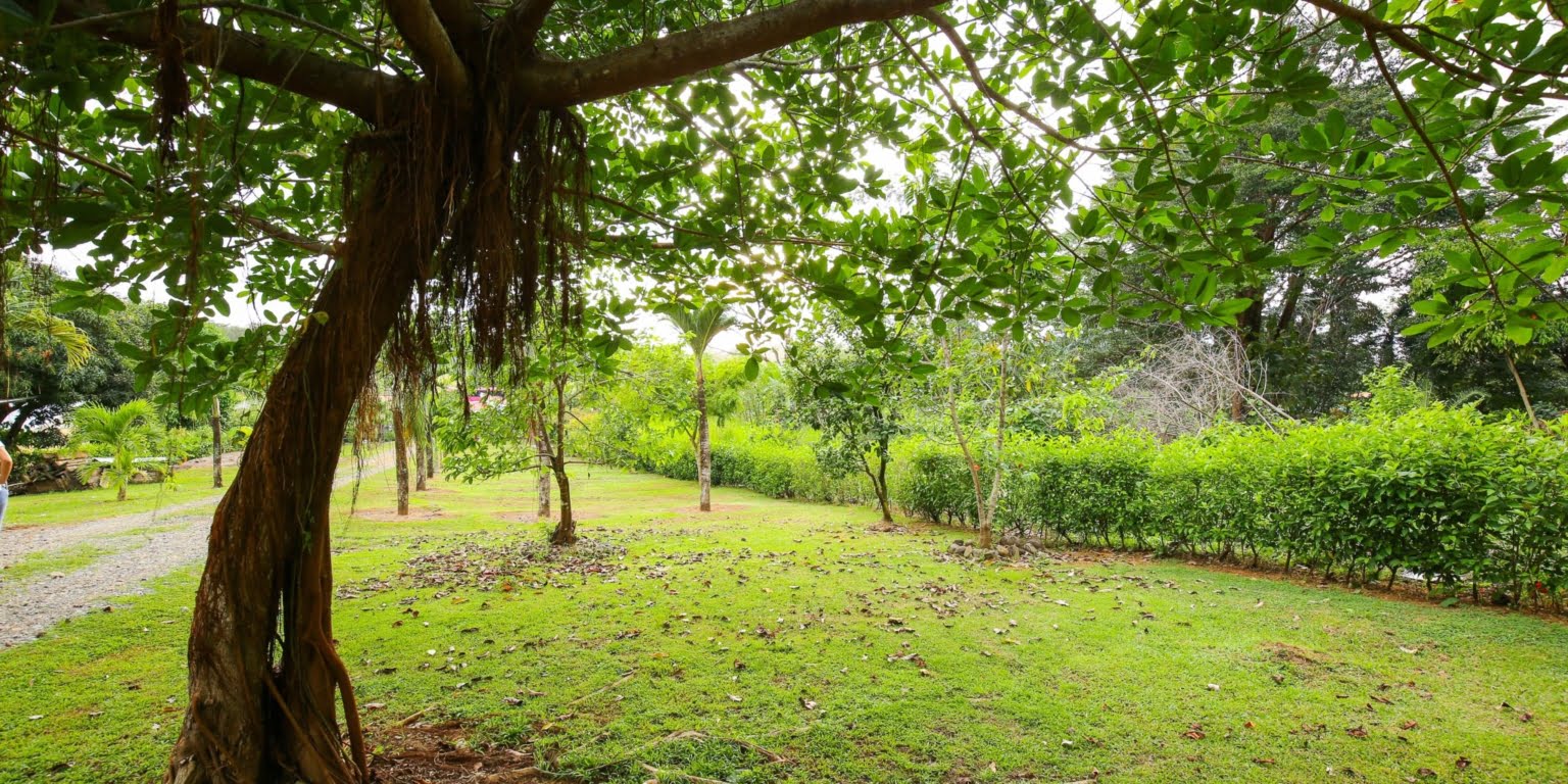 DVO_4566 Commercial Opportunity – Home, Rental Cabins & Room to Build More in Hatillo near Dominical Costa Rica