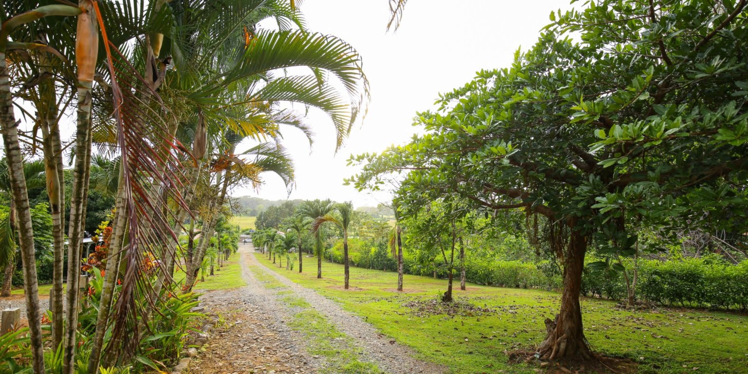 DVO_4547 Commercial Opportunity – Home, Rental Cabins & Room to Build More in Hatillo near Dominical Costa Rica