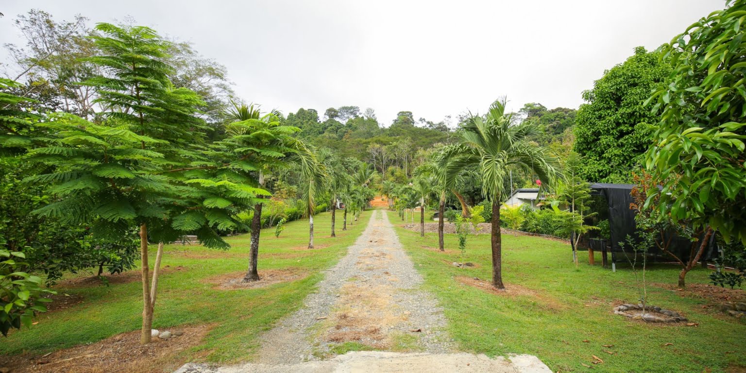 DVO_4538 Commercial Opportunity – Home, Rental Cabins & Room to Build More in Hatillo near Dominical Costa Rica