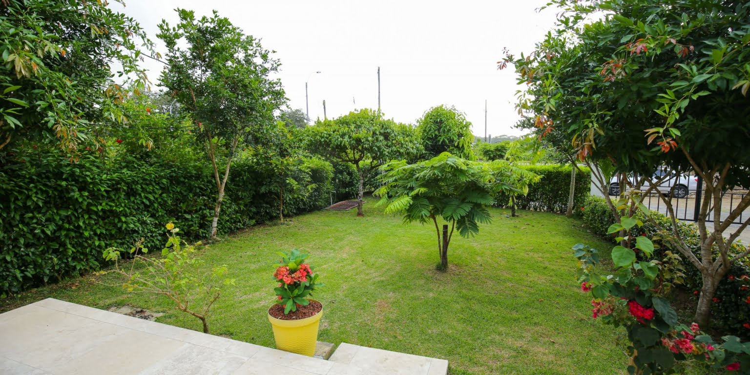 DVO_4492 Commercial Opportunity – Home, Rental Cabins & Room to Build More in Hatillo near Dominical Costa Rica