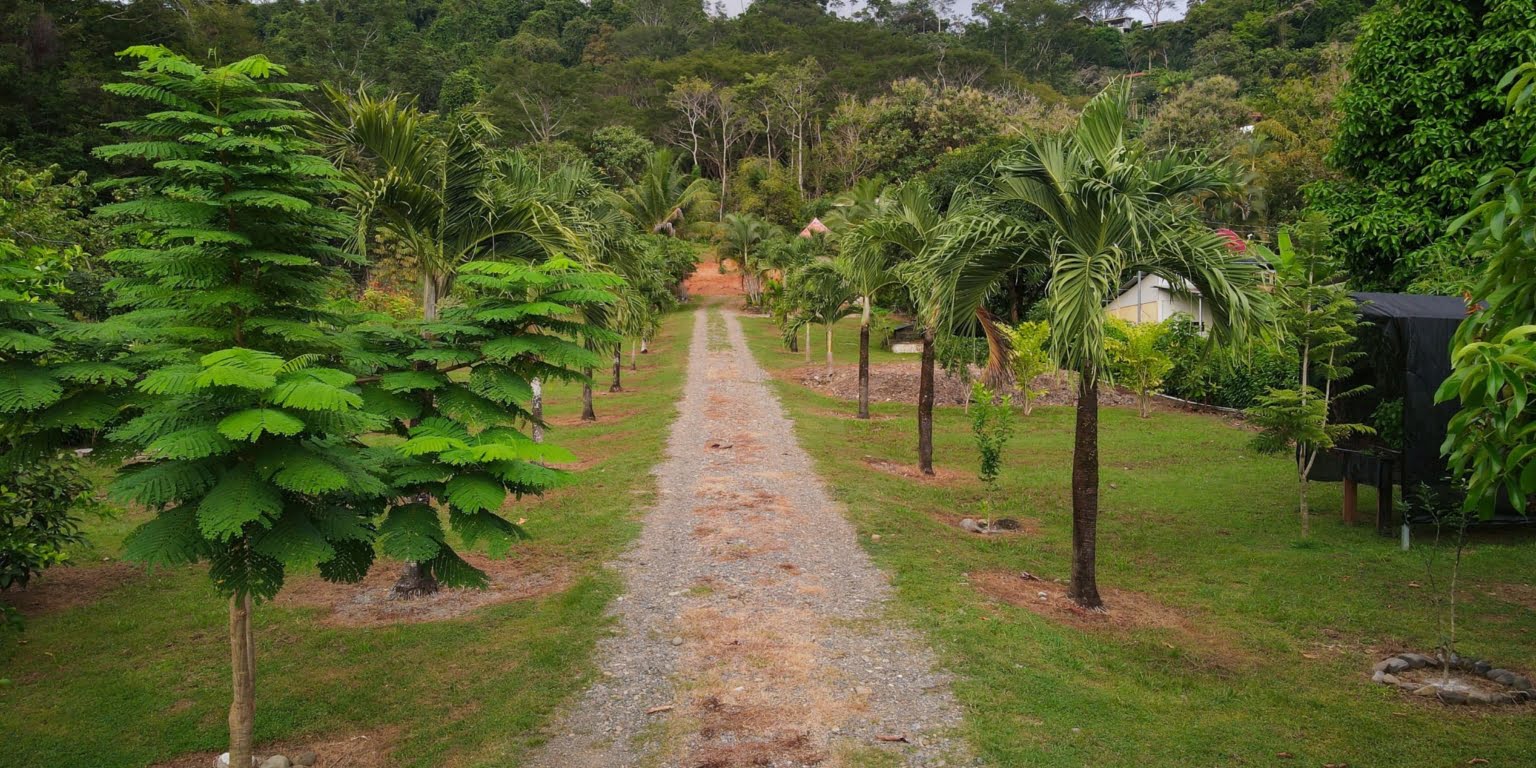DJI_0101 Commercial Opportunity – Home, Rental Cabins & Room to Build More in Hatillo near Dominical Costa Rica