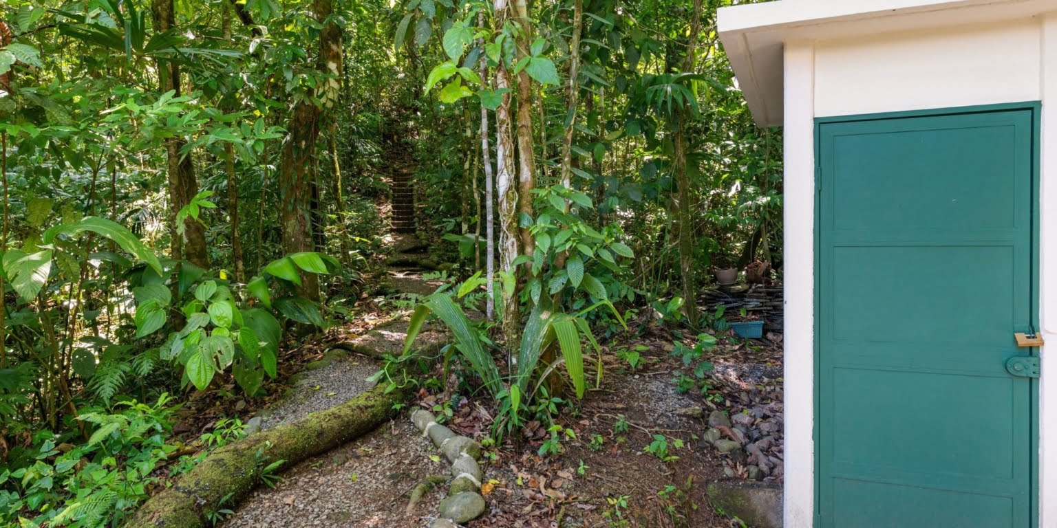 Natural Zen 2-Bedroom Home plus Guest Cabin with Jungle All Around in Lagunas above Dominical Costa Rica