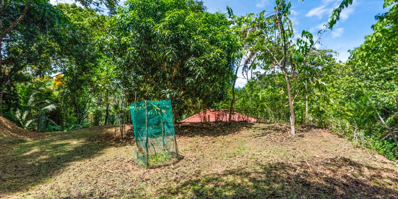 Natural Zen 2-Bedroom Home plus Guest Cabin with Jungle All Around in Lagunas above Dominical Costa Rica
