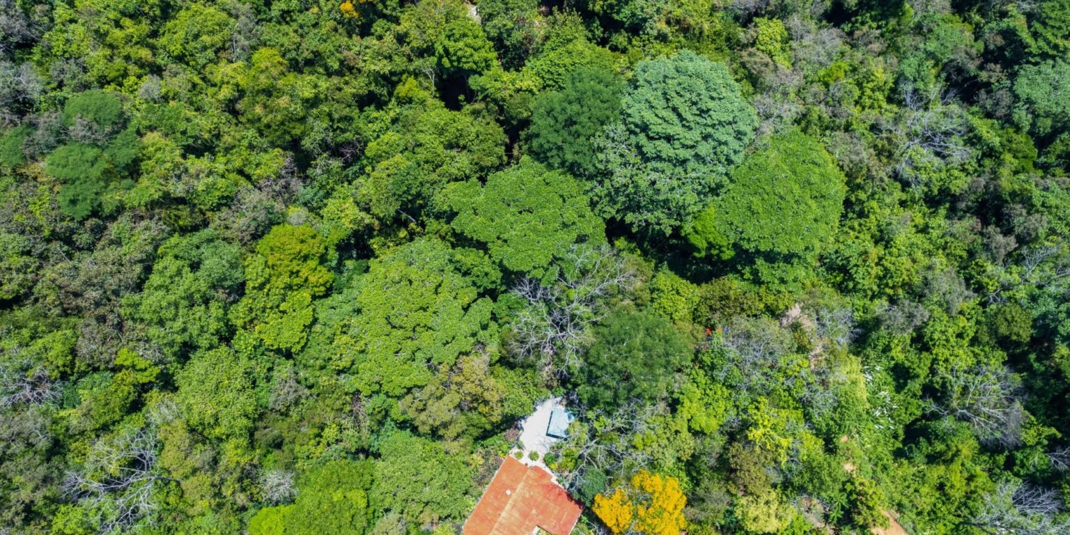 Natural Zen 2-Bedroom Home plus Guest Cabin with Jungle All Around in Lagunas above Dominical Costa Rica