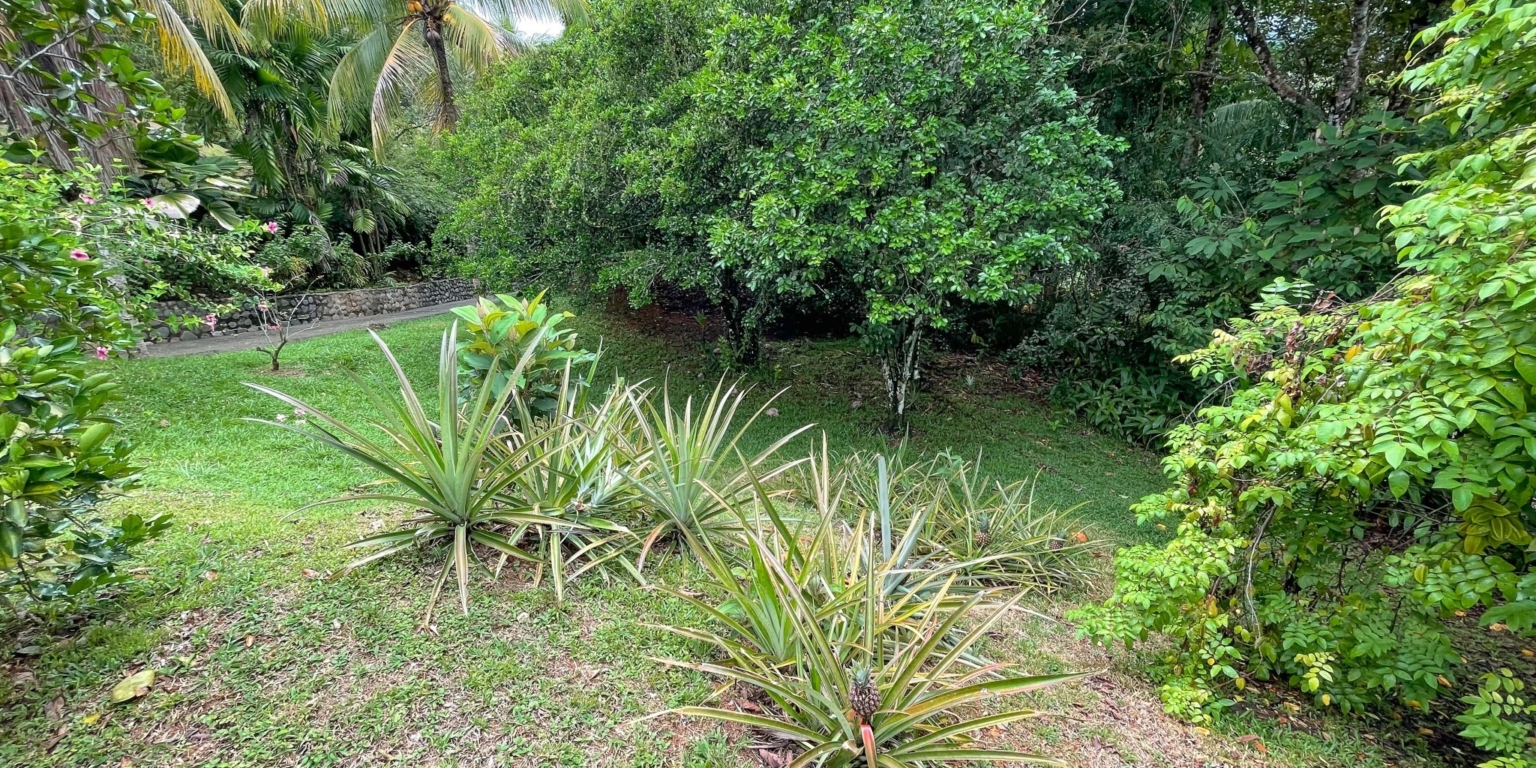 Well Priced Ocean View Home With Great Value Upgrades In Easy Reach Well Priced Ocean View Home With Great Value Upgrades In Easy Reach