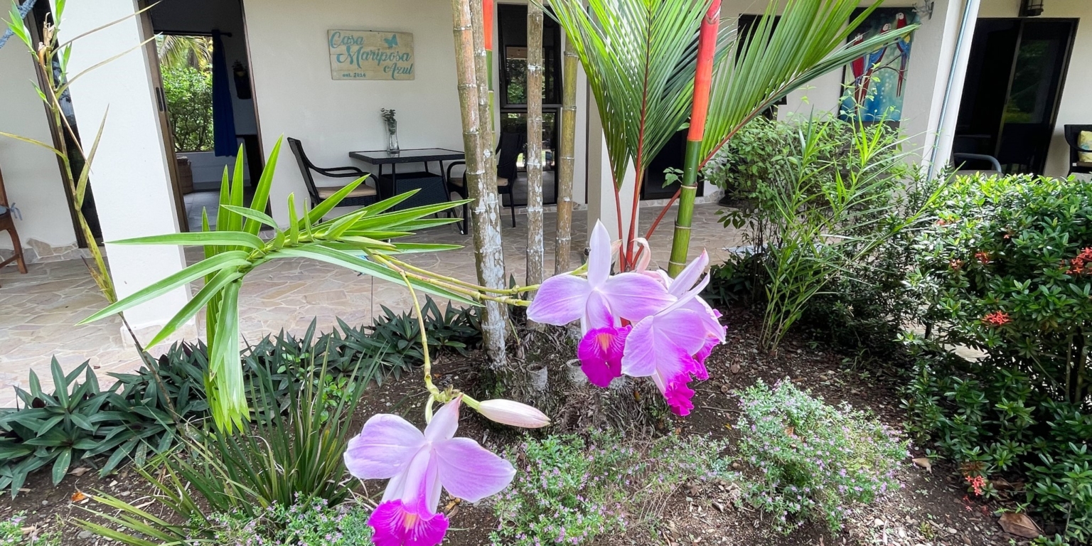 Well Priced Ocean View Home With Great Value Upgrades In Easy Reach Well Priced Ocean View Home With Great Value Upgrades In Easy Reach