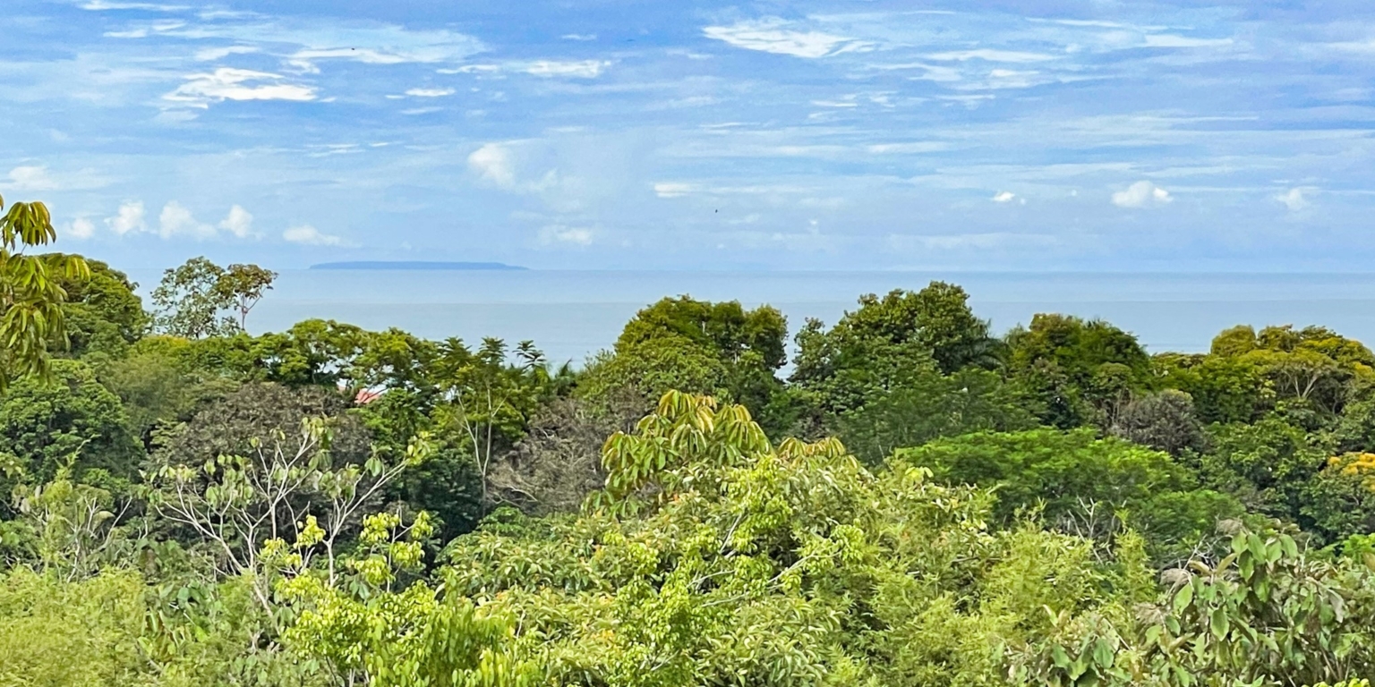 Well Priced Ocean View Home With Great Value Upgrades In Easy Reach Well Priced Ocean View Home With Great Value Upgrades In Easy Reach