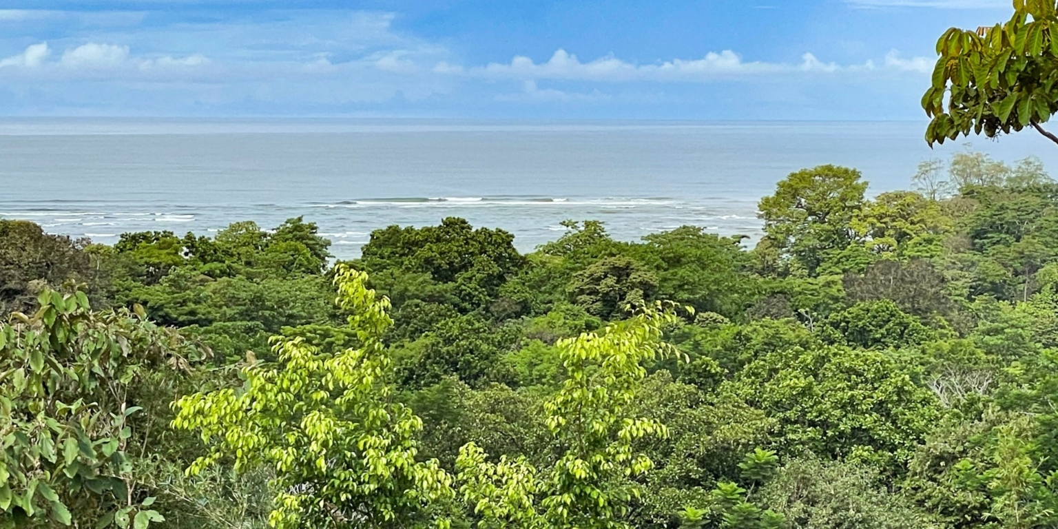 Well Priced Ocean View Home With Great Value Upgrades In Easy Reach Well Priced Ocean View Home With Great Value Upgrades In Easy Reach