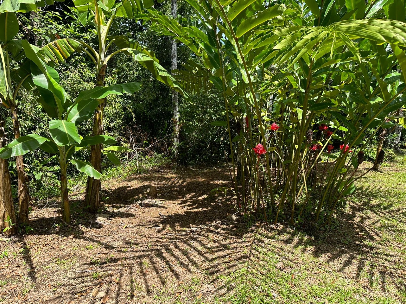 Cozy Jungle House in Platanillo above Dominical Costa Rica Cozy Jungle House in Platanillo above Dominical Costa Rica