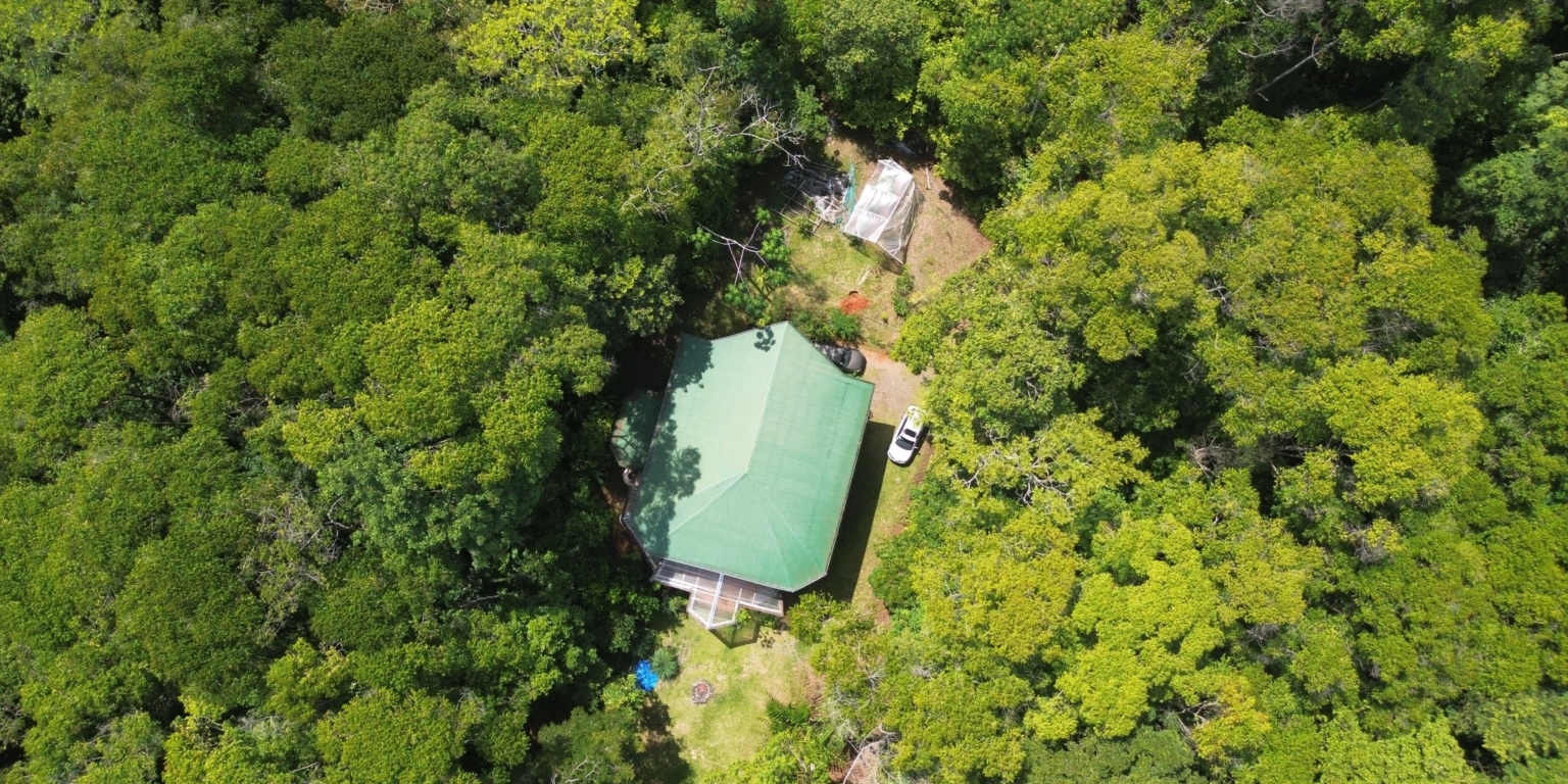 Cozy Jungle House in Platanillo above Dominical Costa Rica Cozy Jungle House in Platanillo above Dominical Costa Rica