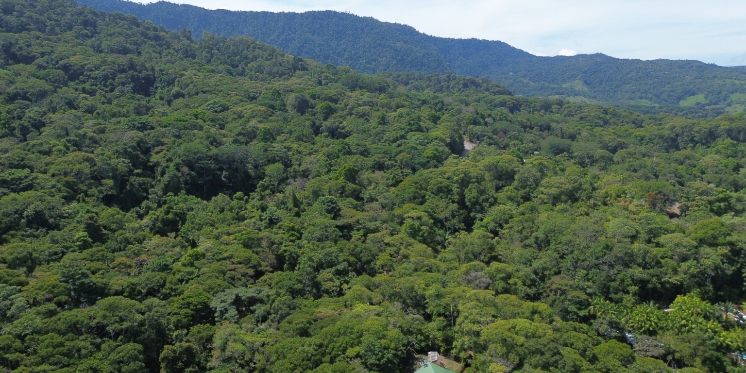 Cozy Jungle House in Platanillo above Dominical Costa Rica Cozy Jungle House in Platanillo above Dominical Costa Rica