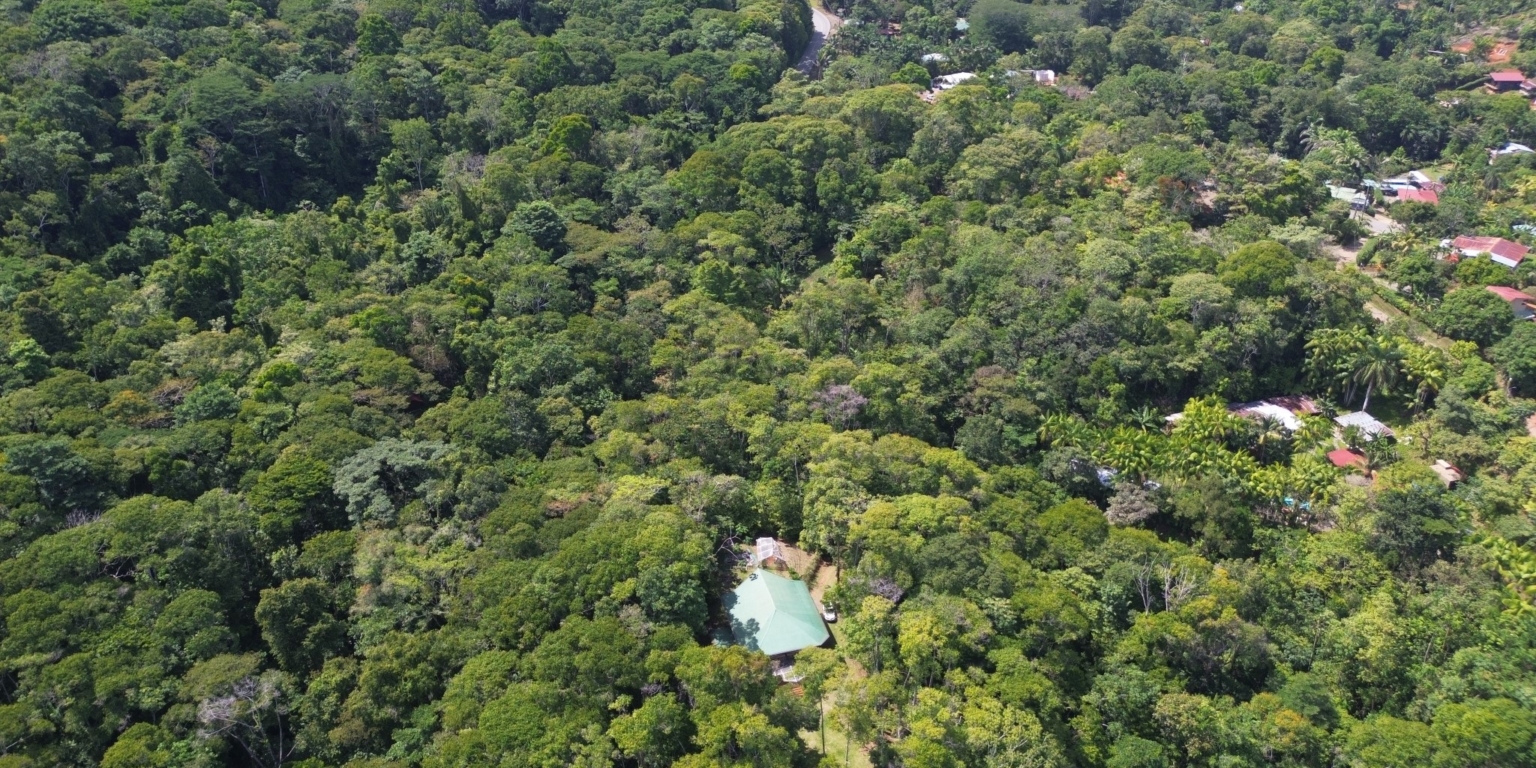 Cozy Jungle House in Platanillo above Dominical Costa Rica Cozy Jungle House in Platanillo above Dominical Costa Rica