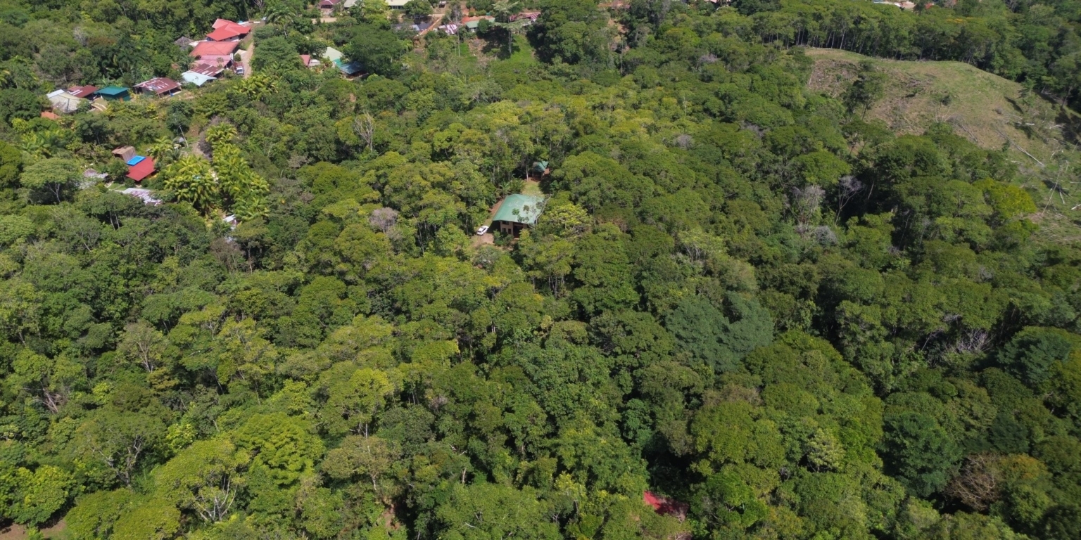 Cozy Jungle House in Platanillo above Dominical Costa Rica Cozy Jungle House in Platanillo above Dominical Costa Rica