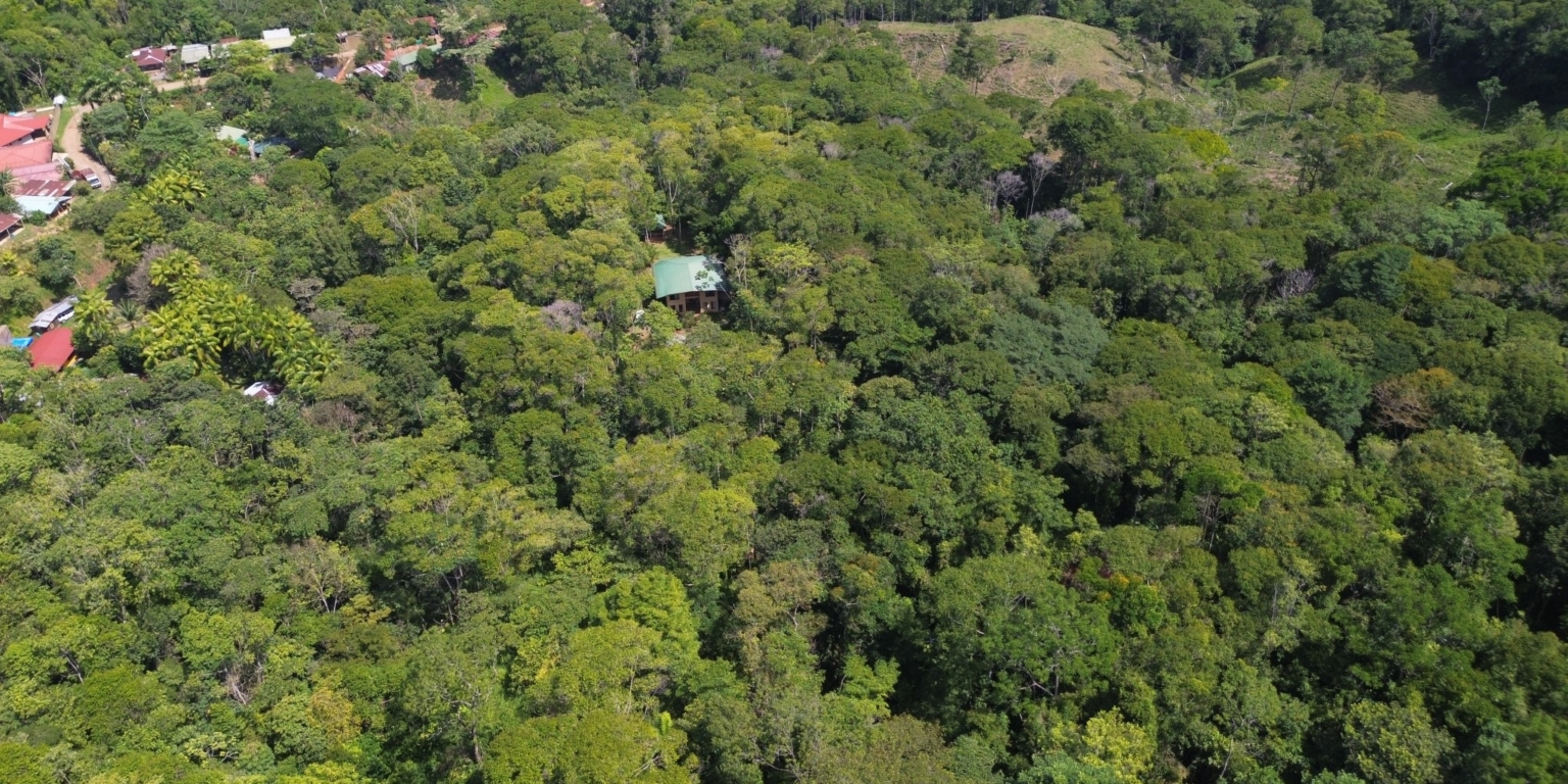Cozy Jungle House in Platanillo above Dominical Costa Rica Cozy Jungle House in Platanillo above Dominical Costa Rica