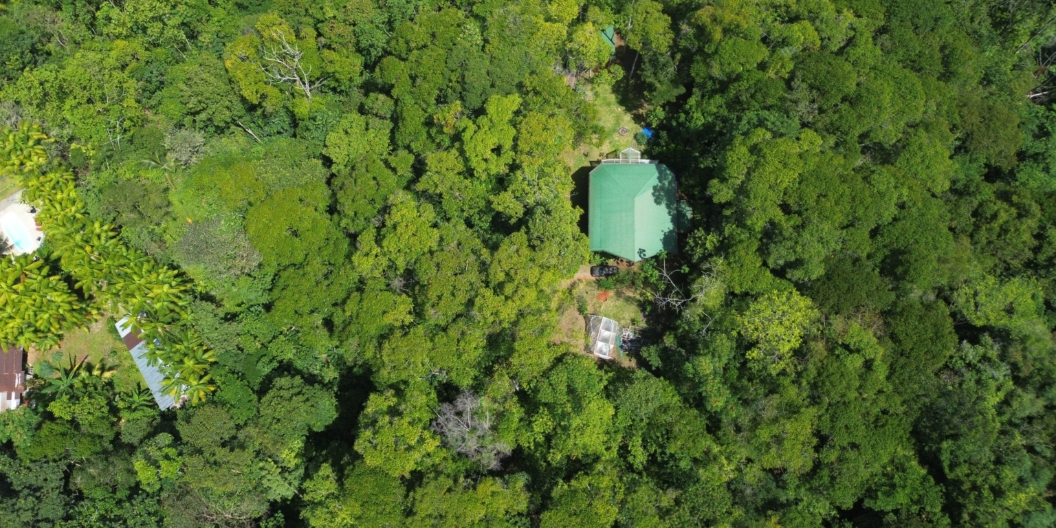 Cozy Jungle House in Platanillo above Dominical Costa Rica Cozy Jungle House in Platanillo above Dominical Costa Rica