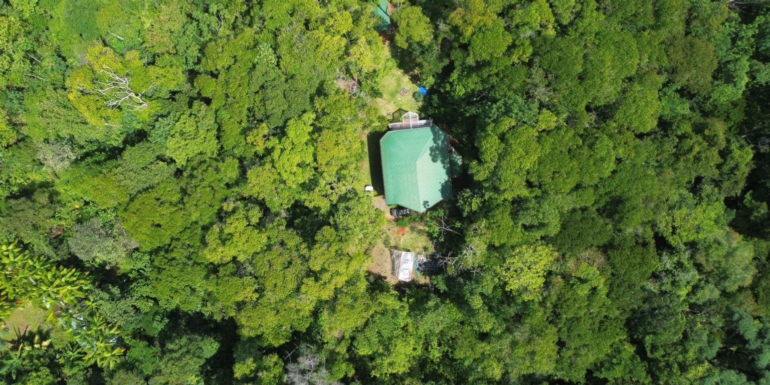 Cozy Jungle House in Platanillo above Dominical Costa Rica Cozy Jungle House in Platanillo above Dominical Costa Rica