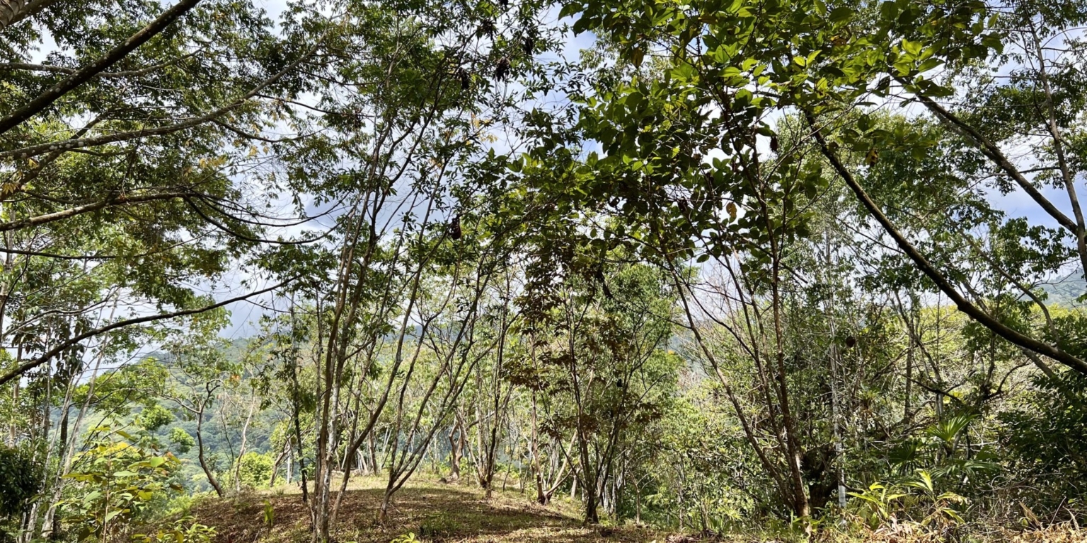 40.4840 House and Cabins Morete 28 Brand New Home And 2 Guest Houses With Breathtaking Views And Waterfall in Uvita Costa Rica