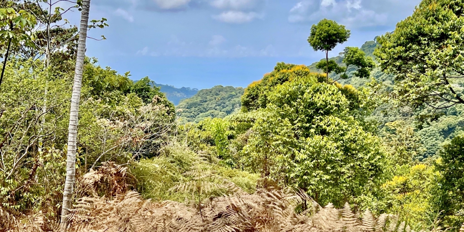 39.4840 House and Cabins Morete 27 2 Brand New Home And 2 Guest Houses With Breathtaking Views And Waterfall in Uvita Costa Rica