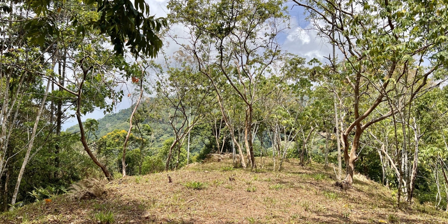 38.4840 House and Cabins Morete 26 Brand New Home And 2 Guest Houses With Breathtaking Views And Waterfall in Uvita Costa Rica