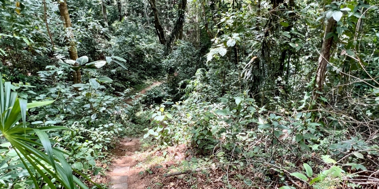 22.4840 House and Cabins Morete 29 Brand New Home And 2 Guest Houses With Breathtaking Views And Waterfall in Uvita Costa Rica