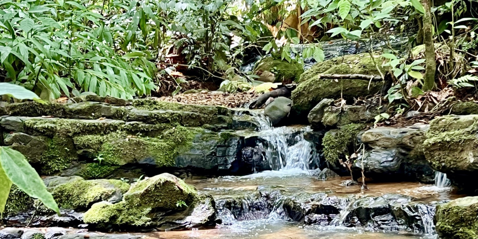 21.4840 House and Cabins Morete 37 Brand New Home And 2 Guest Houses With Breathtaking Views And Waterfall in Uvita Costa Rica