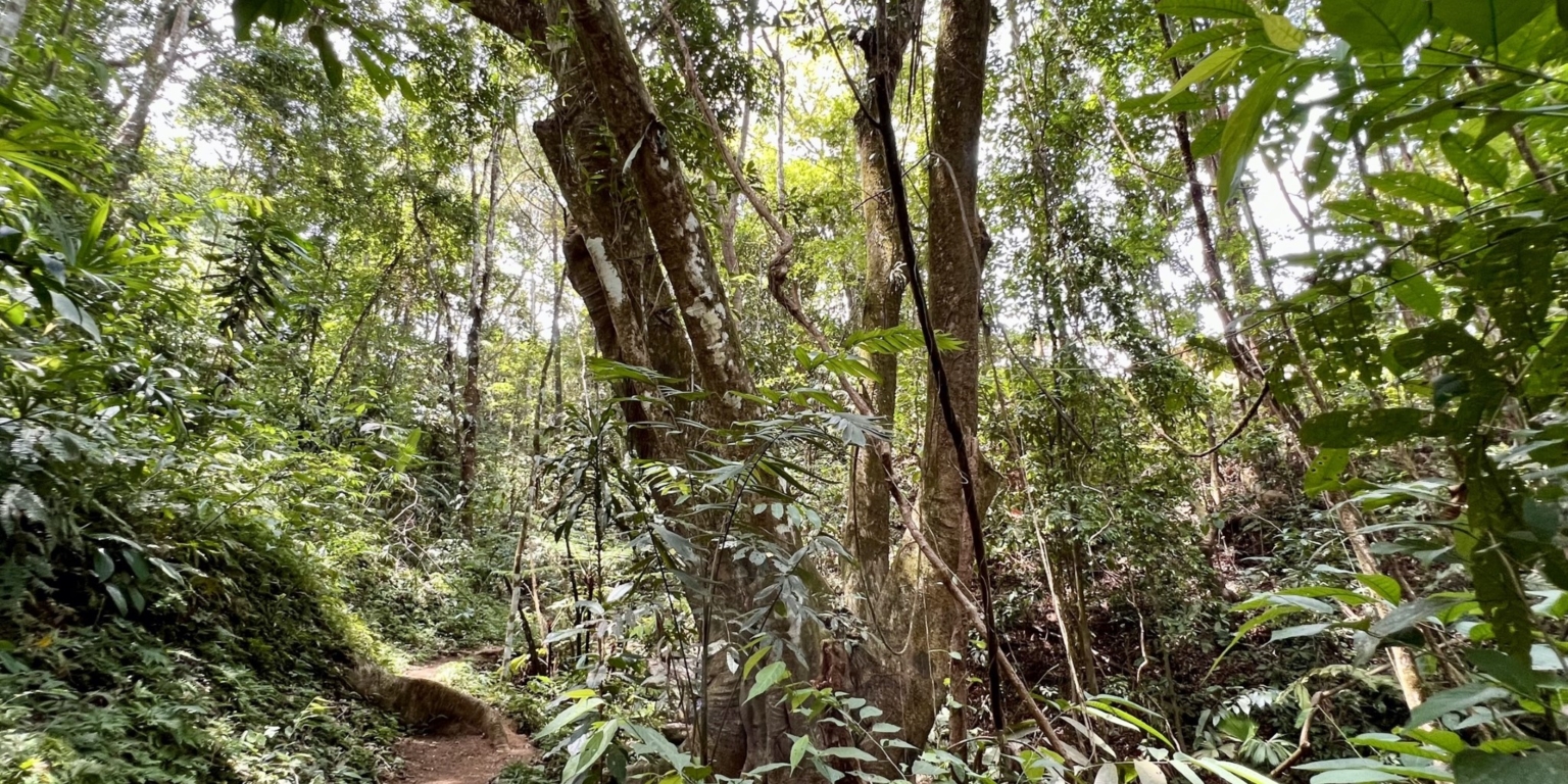 19.4840 House and Cabins Morete 24 Brand New Home And 2 Guest Houses With Breathtaking Views And Waterfall in Uvita Costa Rica