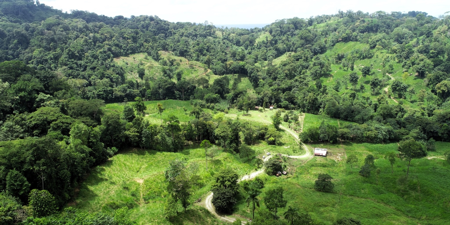 3 170 Acre Farm with Easy Access, Legal Water, Mountain Views, Forest & Abundant Water in Rio Claro Costa Rica