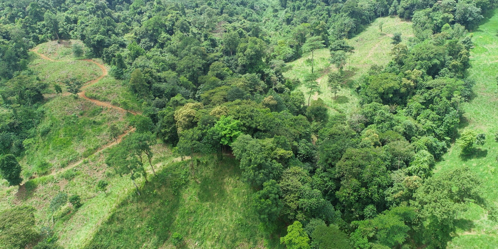 15 (6) 170 Acre Farm with Easy Access, Legal Water, Mountain Views, Forest & Abundant Water in Rio Claro Costa Rica