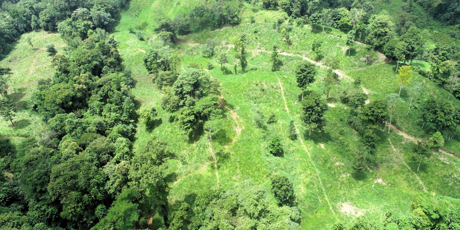 15 (5) 170 Acre Farm with Easy Access, Legal Water, Mountain Views, Forest & Abundant Water in Rio Claro Costa Rica