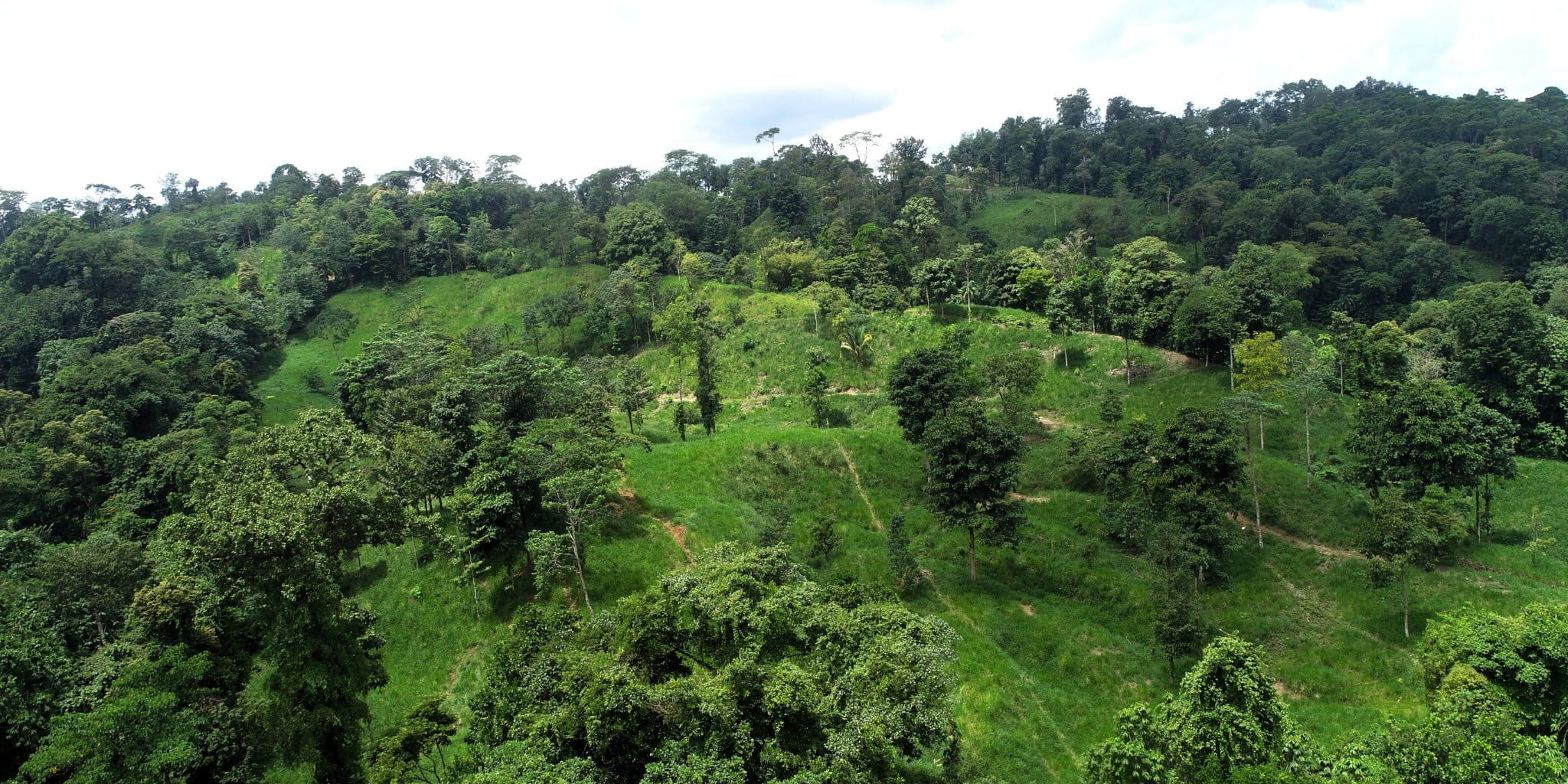 15 (3) 170 Acre Farm with Easy Access, Legal Water, Mountain Views, Forest & Abundant Water in Rio Claro Costa Rica