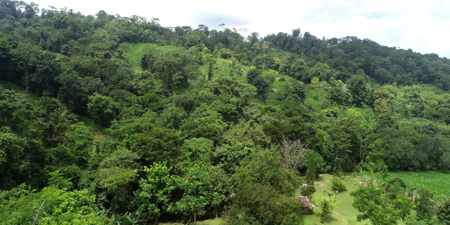 15 (2) 170 Acre Farm with Easy Access, Legal Water, Mountain Views, Forest & Abundant Water in Rio Claro Costa Rica