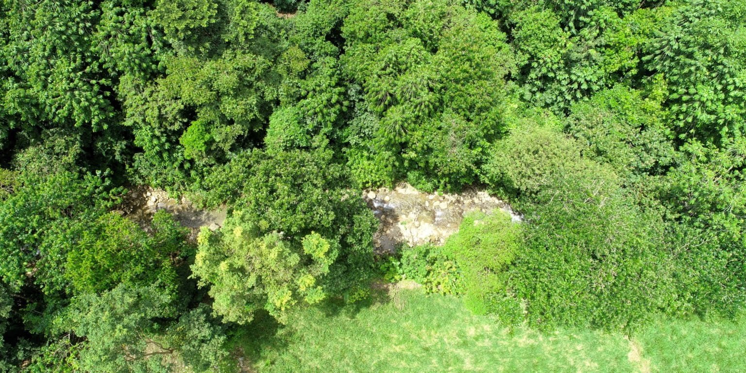 12 (1) 170 Acre Farm with Easy Access, Legal Water, Mountain Views, Forest & Abundant Water in Rio Claro Costa Rica