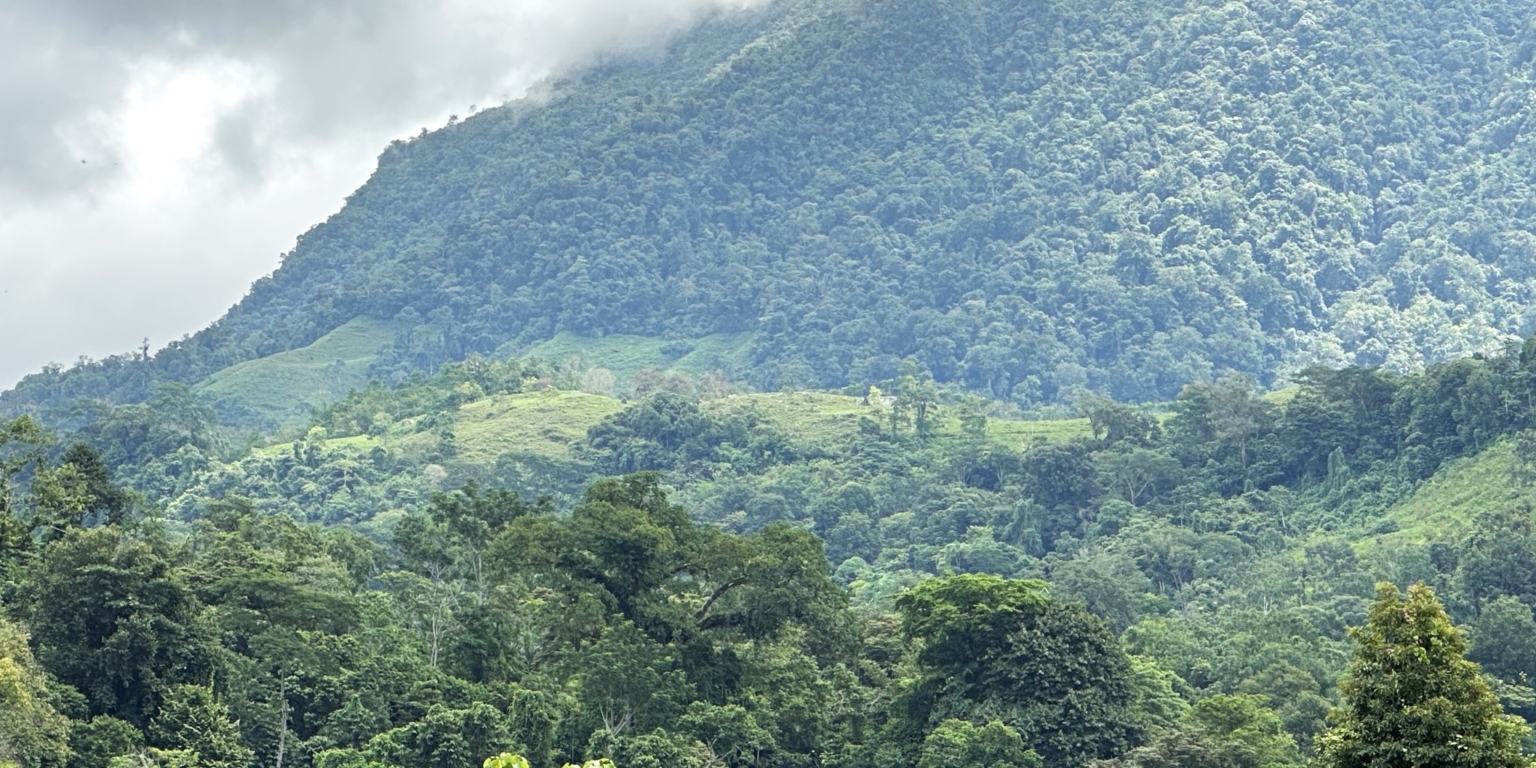 7 (11) 170 Acre Farm with Easy Access, Legal Water, Mountain Views, Forest & Abundant Water in Rio Claro Costa Rica