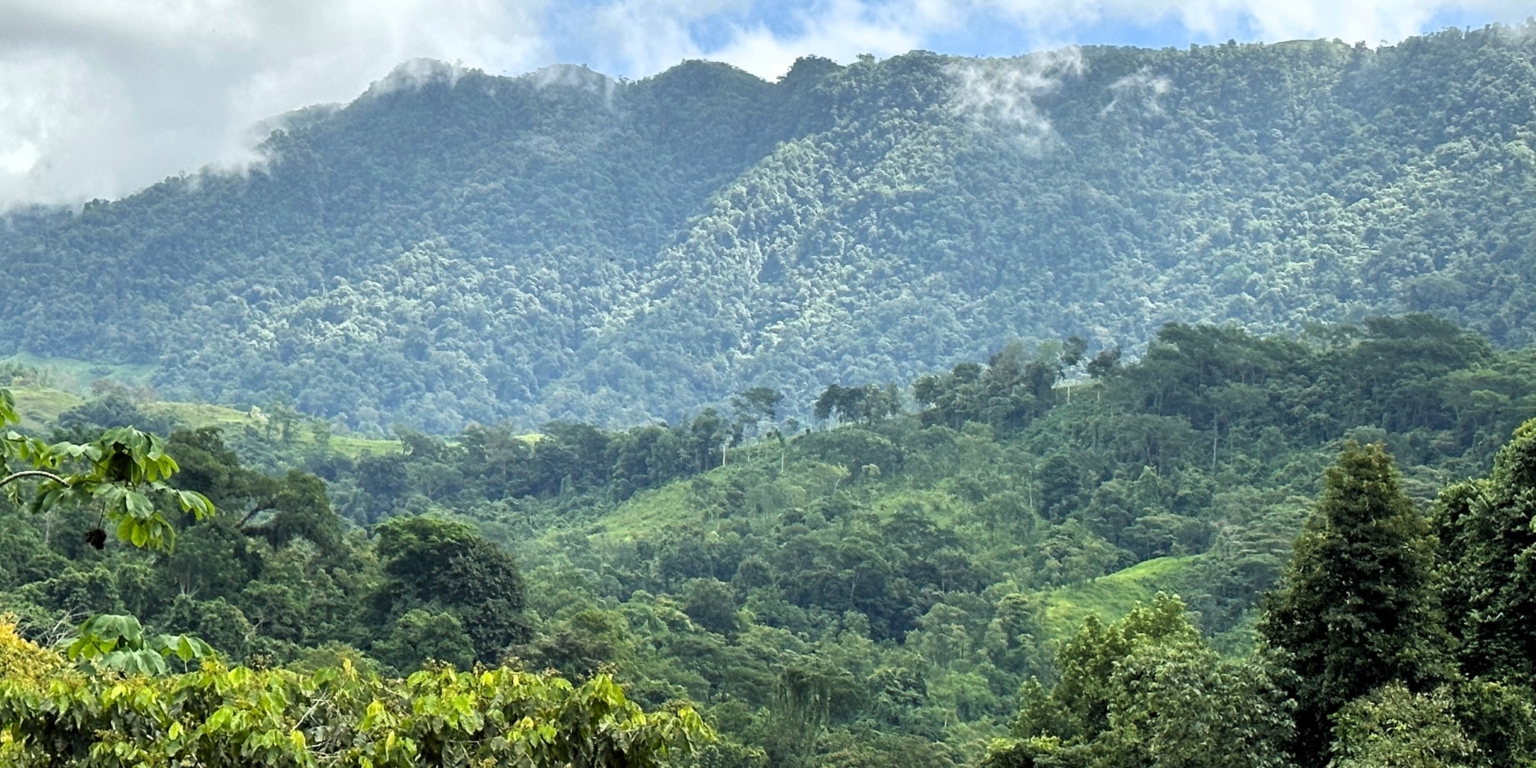 7 (9) 170 Acre Farm with Easy Access, Legal Water, Mountain Views, Forest & Abundant Water in Rio Claro Costa Rica