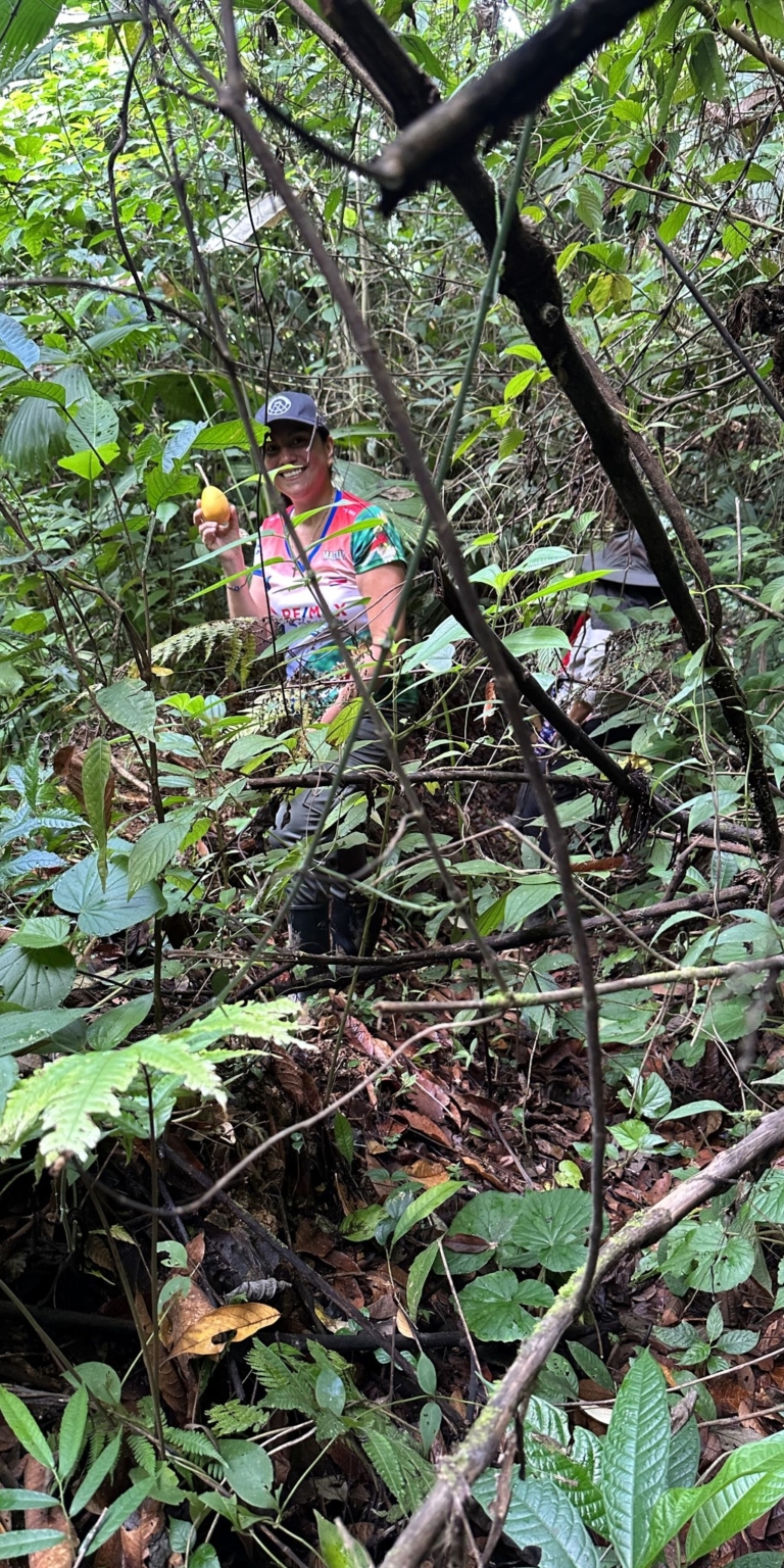 7 (8) 170 Acre Farm with Easy Access, Legal Water, Mountain Views, Forest & Abundant Water in Rio Claro Costa Rica