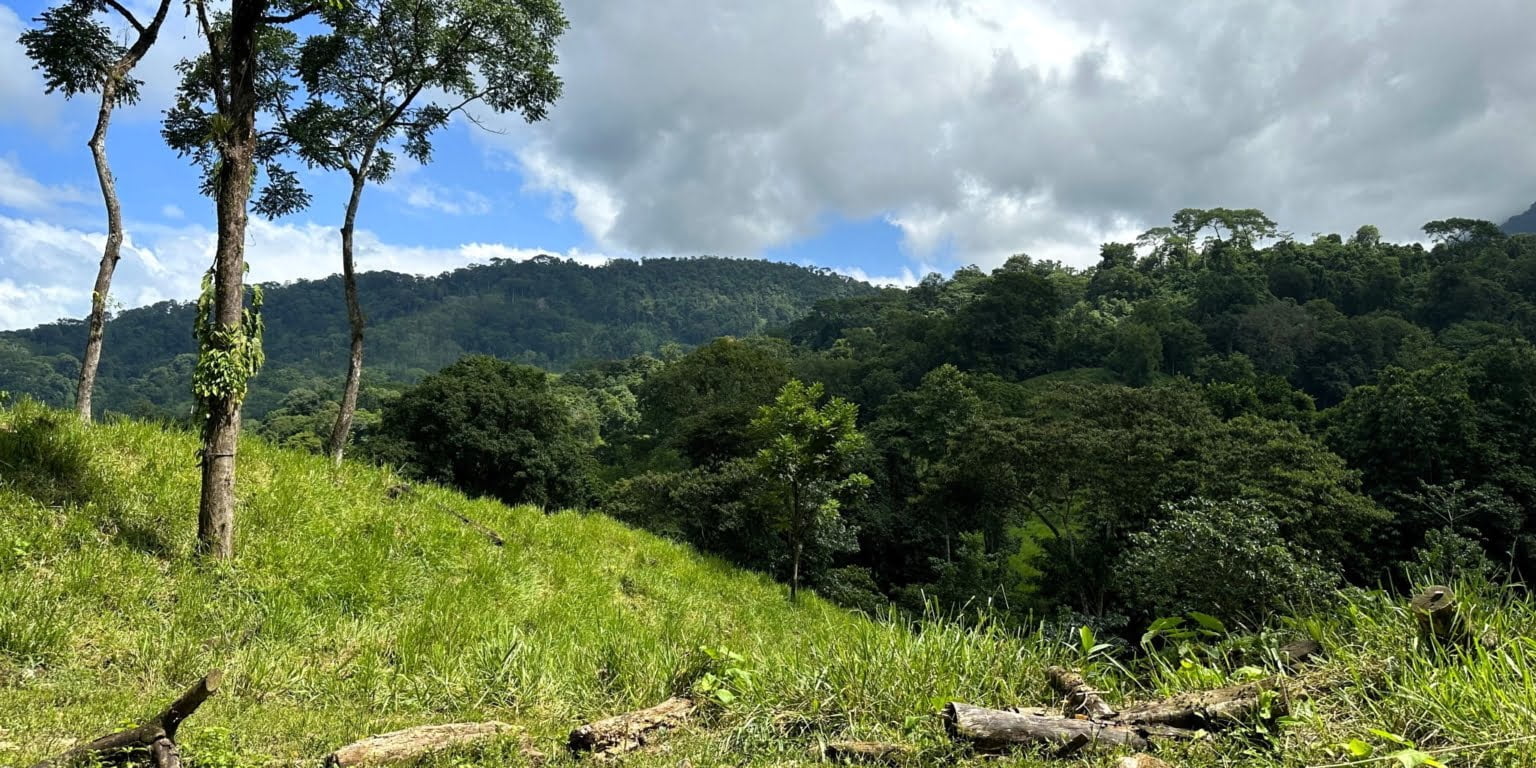 7 (7) 170 Acre Farm with Easy Access, Legal Water, Mountain Views, Forest & Abundant Water in Rio Claro Costa Rica