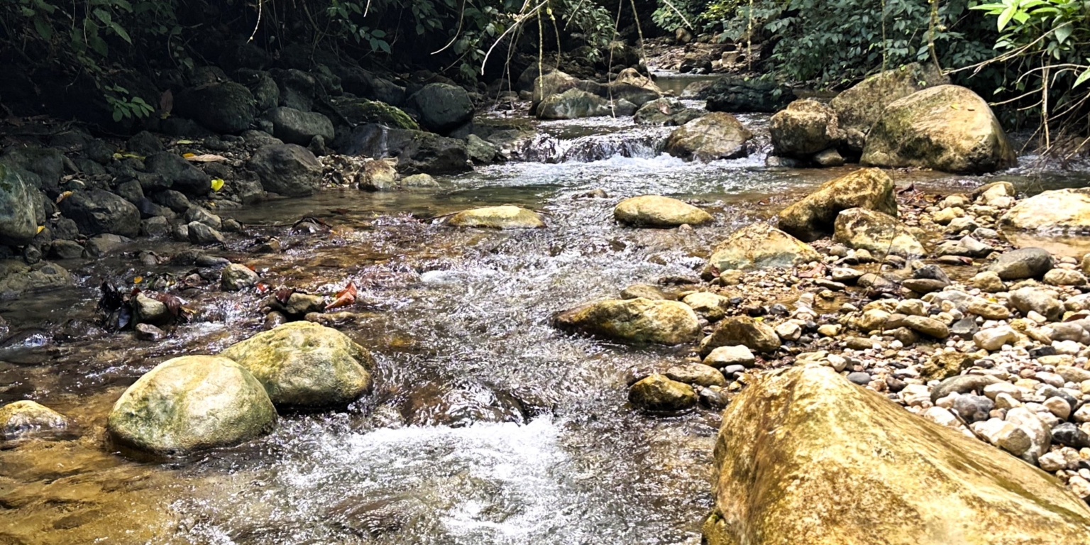 7 (6) 170 Acre Farm with Easy Access, Legal Water, Mountain Views, Forest & Abundant Water in Rio Claro Costa Rica