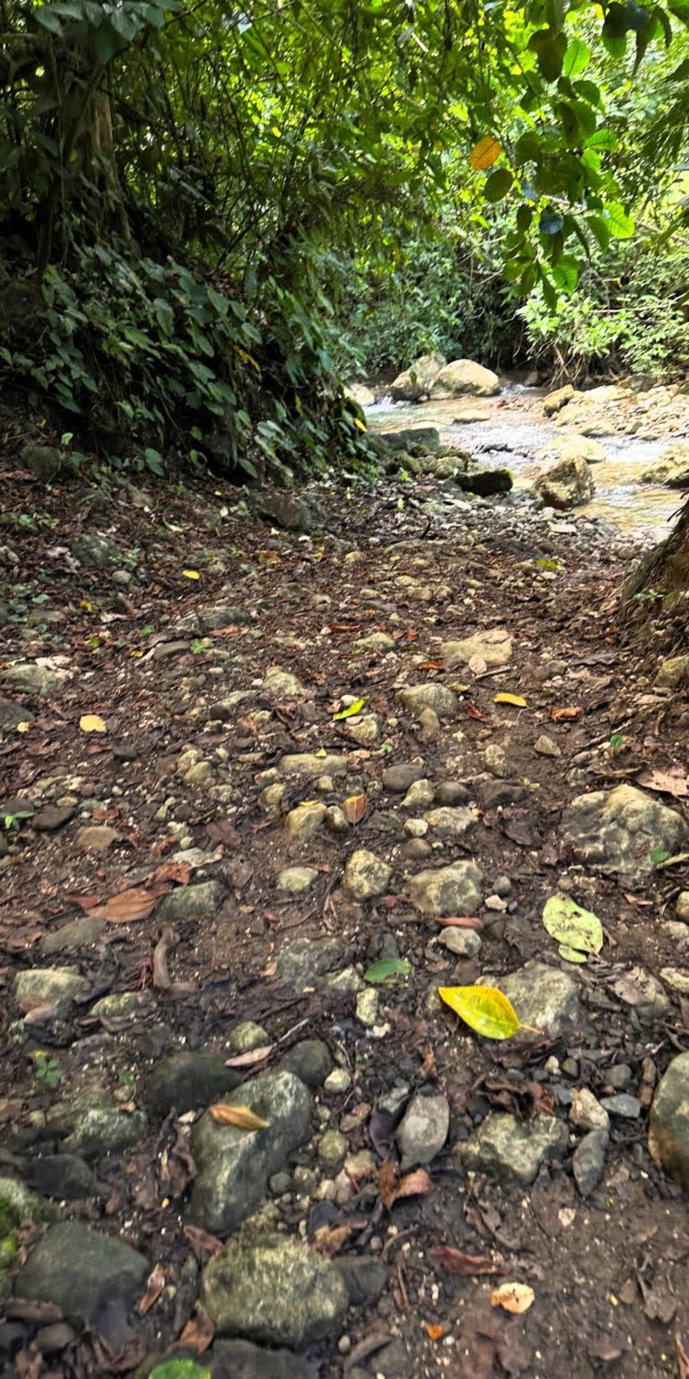 7 (3) 170 Acre Farm with Easy Access, Legal Water, Mountain Views, Forest & Abundant Water in Rio Claro Costa Rica