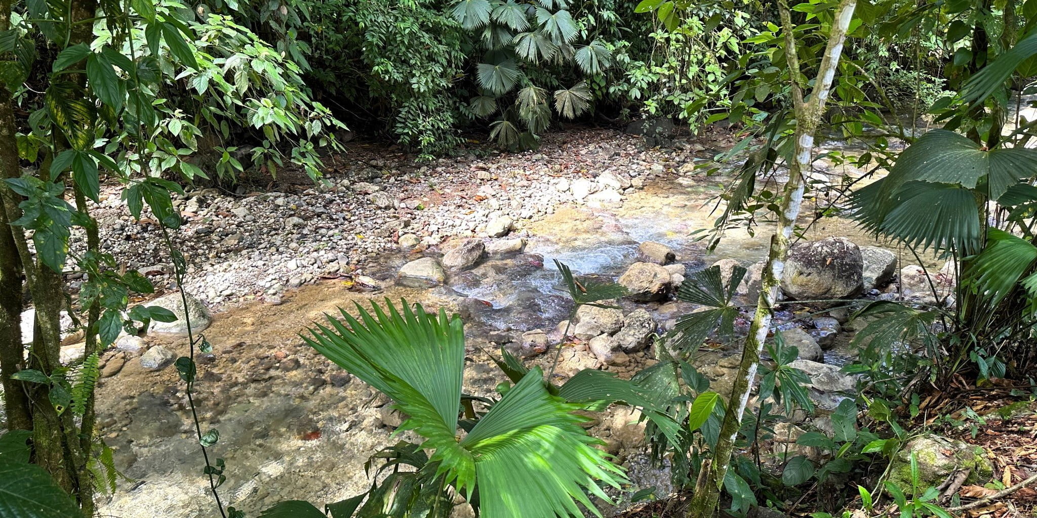 7 (2) 170 Acre Farm with Easy Access, Legal Water, Mountain Views, Forest & Abundant Water in Rio Claro Costa Rica